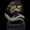 cerebro en manos del médico