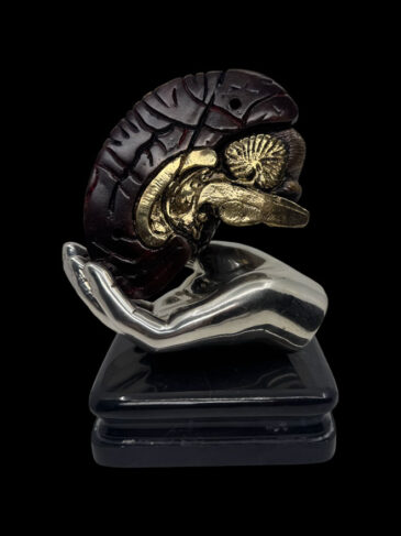 cervello nella mano del medico