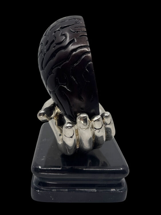 brain in doctor‘s hand