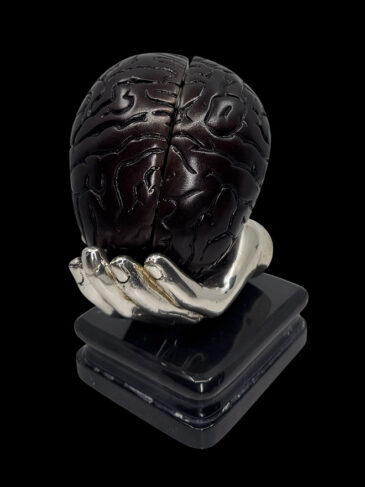 brain in doctor‘s hand