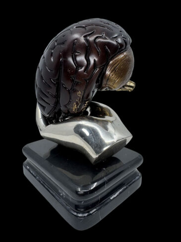 brain in doctor‘s hand